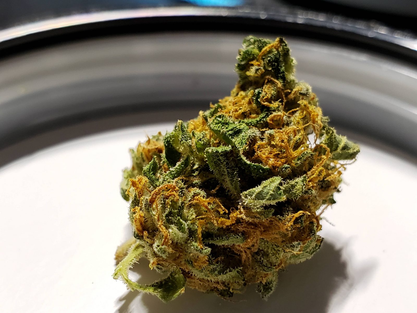 Banana Split
